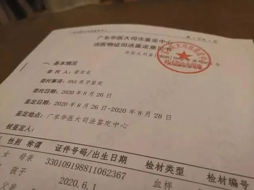 深圳亲子鉴定，揭开家庭真相的科学钥匙