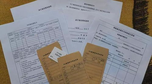 深圳亲子鉴定，揭开家庭真相的科学钥匙