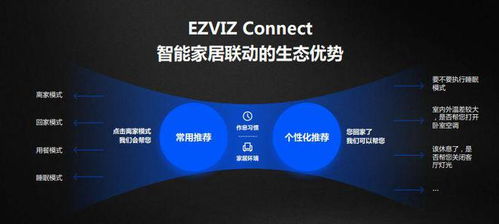 解锁未来，密码发施行日期的奥秘与影响
