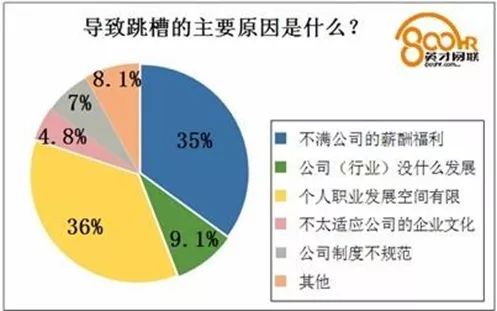 快递业务员的薪资揭秘，工作、收入与生活平衡的艺术