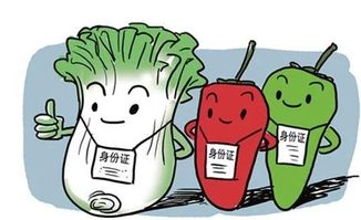 食品安全新革命，检测试纸的创新与应用