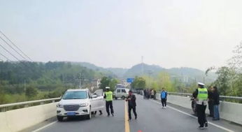 天桥不是赛道，理解开车上天桥被行政拘留的必要性