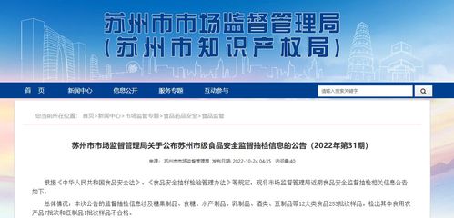 南方人才市场档案，管理与利用的全面指南