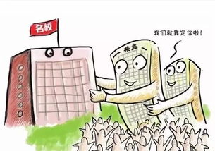 北京学区房，教育的金钥匙还是经济的重担？