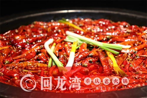 重庆火锅老油，传统与现代的融合之道