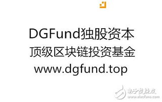 揭开投资担保公司的神秘面纱，了解、评估与利用
