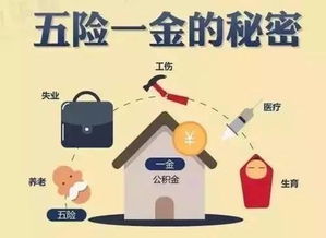 深入解析，养老保险缴费基数的奥秘及其对个人未来的影响