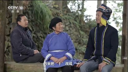 揭开12309实名举报的神秘面纱，后果与影响全解析