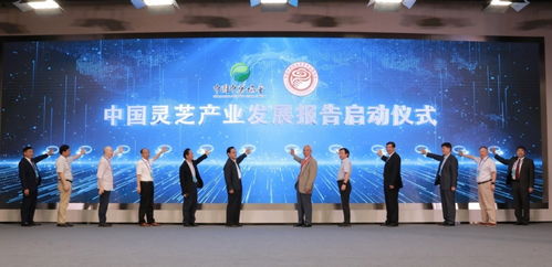 江苏安惠生物科技有限公司，创新引领，生物科技领域的绿色革命