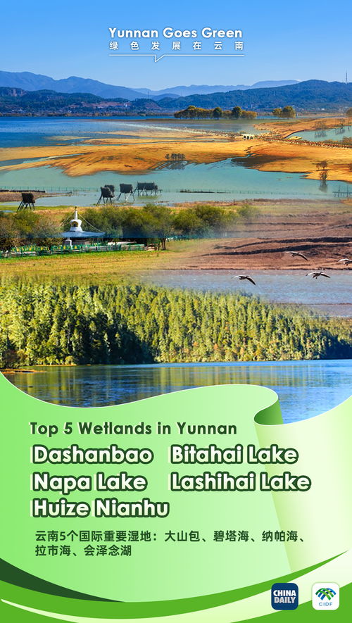 云南省国土资源厅，守护自然资源，促进可持续发展