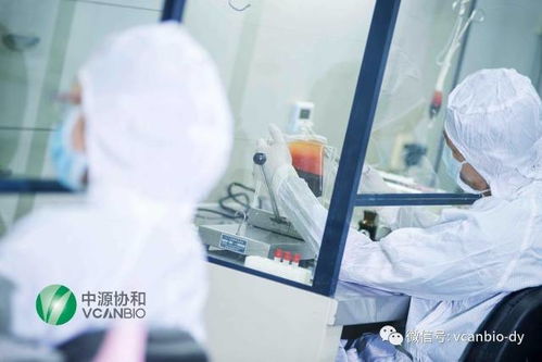 揭开生命的奥秘，胎儿DNA鉴定的科学、伦理与未来