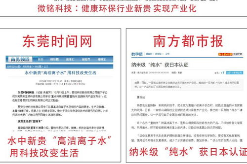 法人代表的风采，揭秘企业领袖的简历背后故事