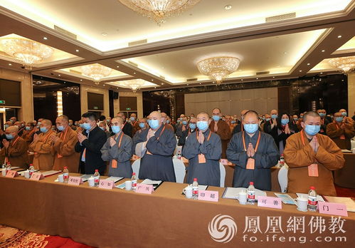 法之光，领导干部如何以法律智慧引领社会前行
