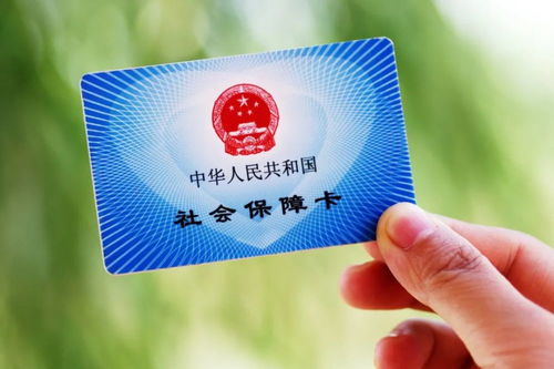 全面指南，如何轻松办理健康证
