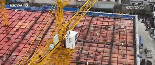 政府扶持项目，助力创新与增长的桥梁