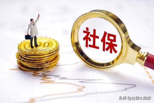 深入了解邮政储蓄贷款，您的资金解决方案