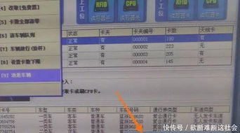 江门交通违章查询指南，如何快速、准确地处理违章记录