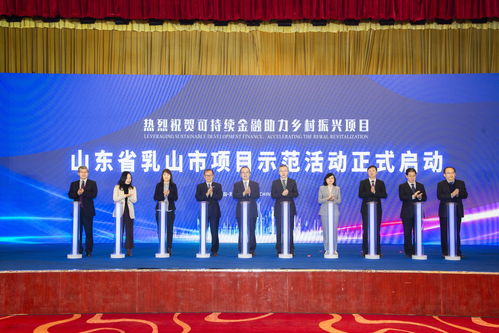 国家对农村的扶持项目，助力乡村振兴的引擎