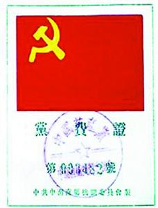 预备党员的义务与责任，党费缴纳的考量