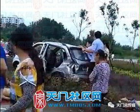 信阳惊魂，深入解析特大交通事故背后的真相与教训