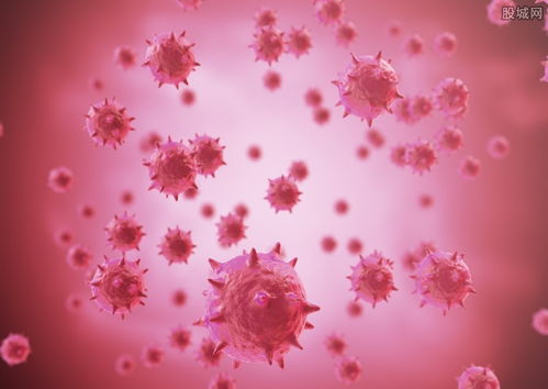 乌鲁木齐疫情新动态，深入解析与防控策略