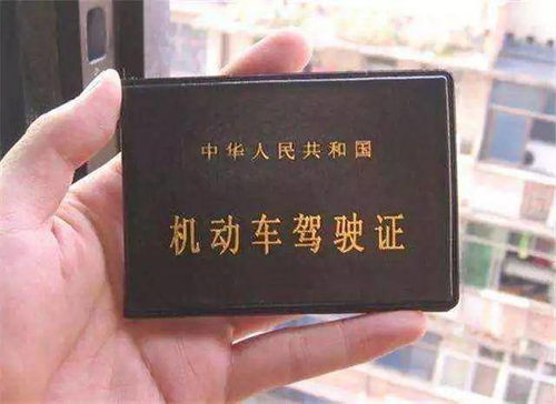 驾驶新篇章，驾驶员从业资格证的奥秘与魅力