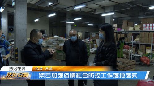 大连疫情最新动态，深入了解与应对策略