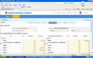 东莞市地税网，一站式税务服务指南