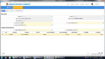 东莞市地税网，一站式税务服务指南