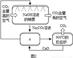 揭秘亲子鉴定，探索最简单的方法及其科学原理