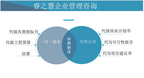 深入解析招投标标书，制作技巧与成功策略