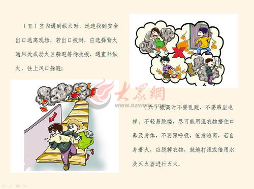 北京疫情最新动态，今日发布会要点解析与市民应对指南