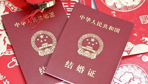 探索结婚证查询系统，保护爱情与法律的桥梁