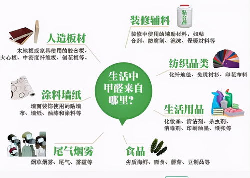 守护安全之门，宾馆消防管理制度的全方位解读