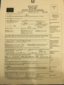 意大利签证申请全攻略，详细流程与实用建议