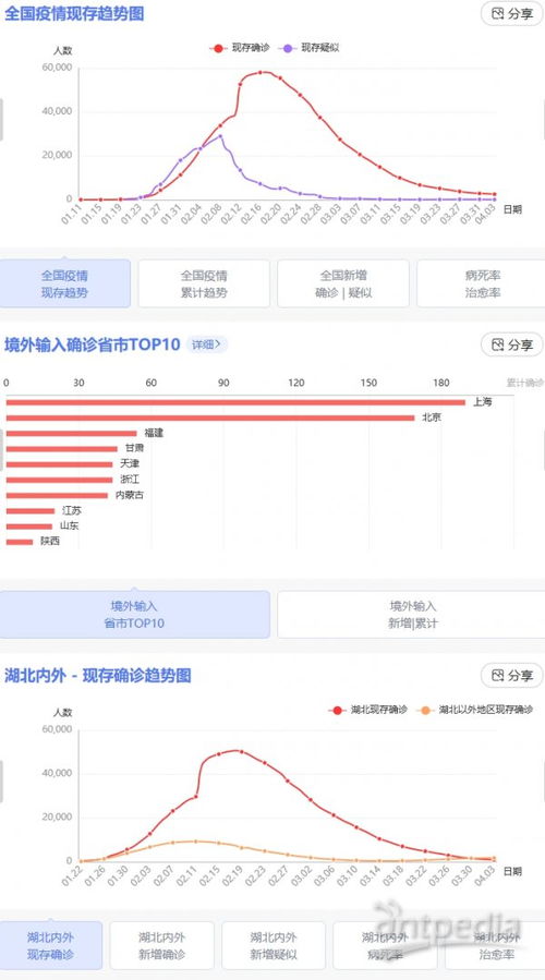 新疆疫情新动态，新增31例本土病例的深度解析与防控策略