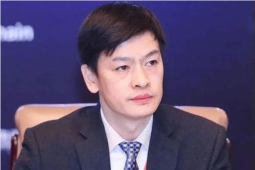 门头沟区长王洪钟，引领区域发展，服务民生福祉