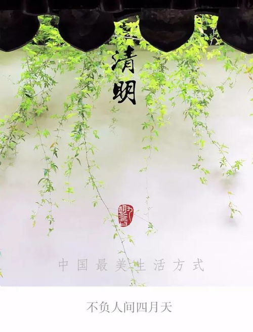 春回大地，缅怀先人 今年清明节的日期与文化意义