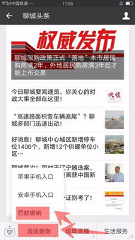 聊城市交通违章查询，简单、快捷、实用指南