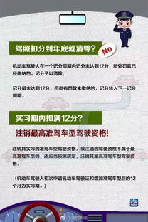 交通违章代码，理解规则，安全驾驶
