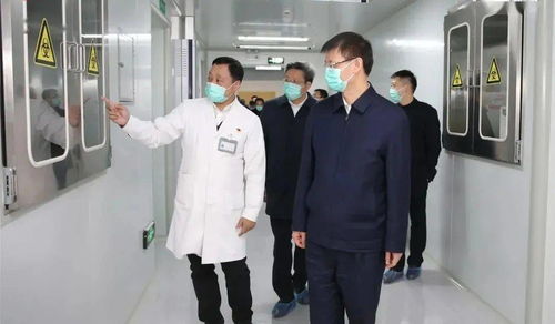 江苏最新疫情动态，了解、预防与应对