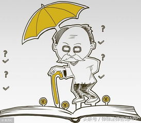 保障未来，深入了解被征地农民养老保险政策