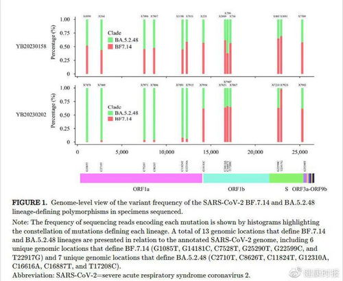 奥密克戎亚型毒株，了解其特性，加快传播与应对策略