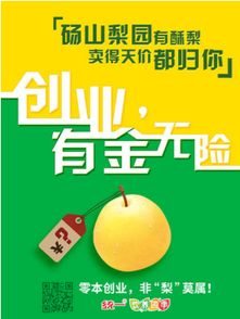 小额创业贷款，点燃创业梦想的火花