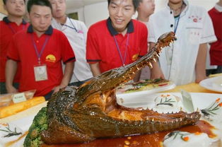 沈阳街头惊现鳄鱼肉炸串，美食新风尚还是道德边界的挑战？