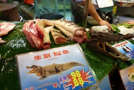 沈阳街头惊现鳄鱼肉炸串，美食新风尚还是道德边界的挑战？