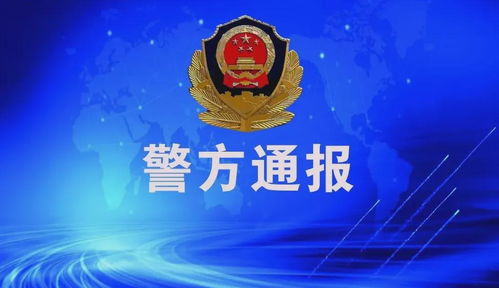 邵阳市公安局，守护城市安全的坚强盾牌