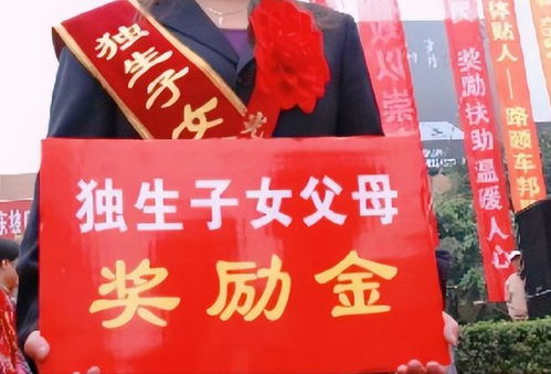 独生子女奖励费，政策回顾与现代家庭的挑战