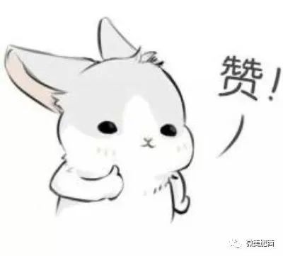 宿州房屋出租，寻找温馨的家，从这里开始