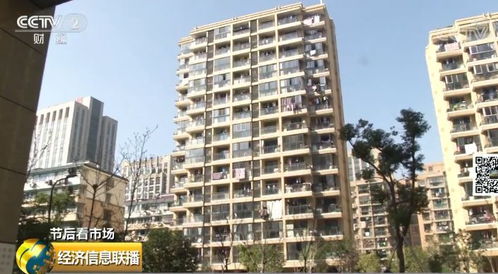 武强房屋出租，揭秘租房市场现状与租房攻略